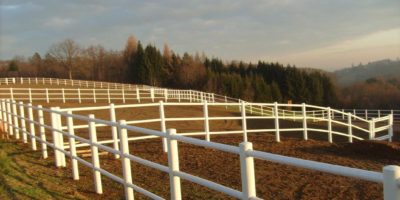 Electric horse fencing